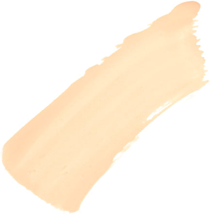 LOREAL PARIS Concealer Perfect Match